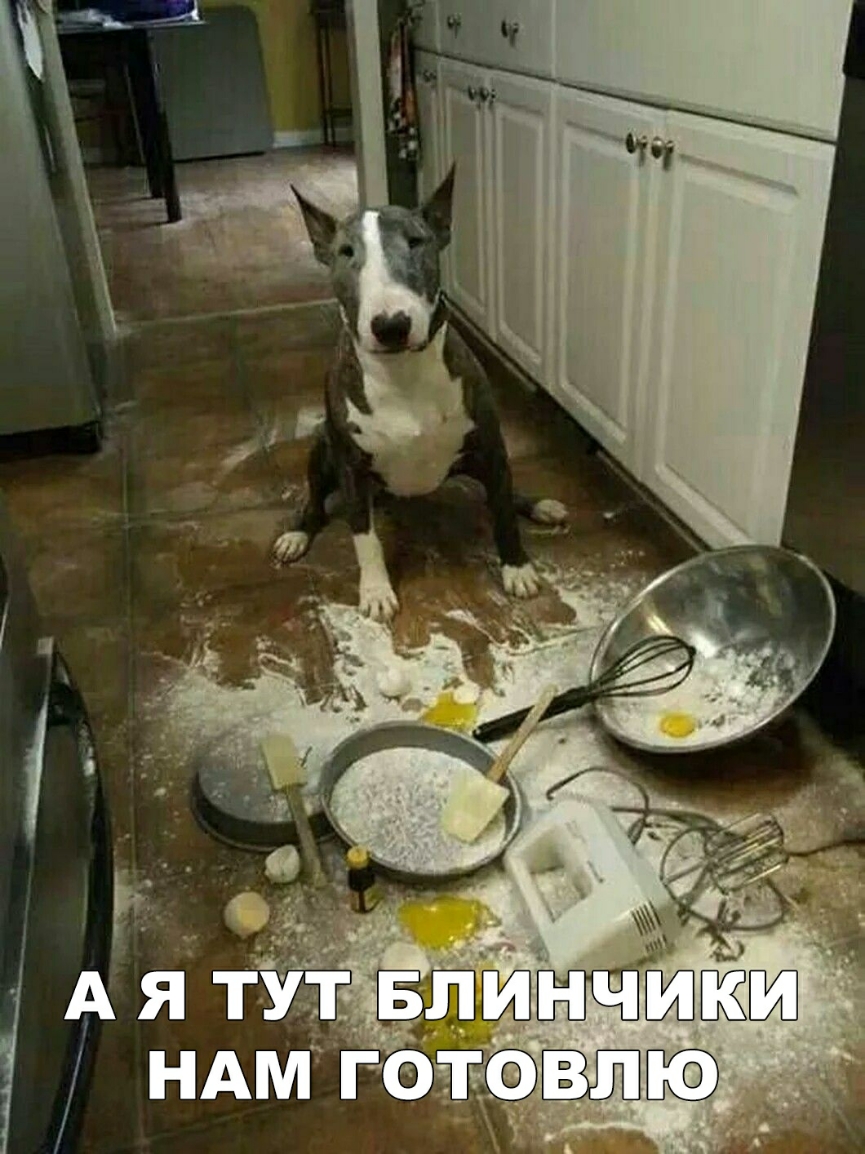 НАМ гвт ВЛЮ