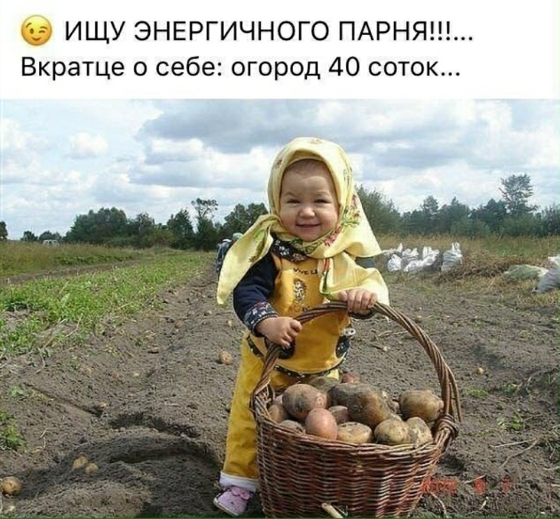 ИЩУ ЭНЕРГИЧНОГО ПАРНЯ Вкратце о себе огород 40 соток