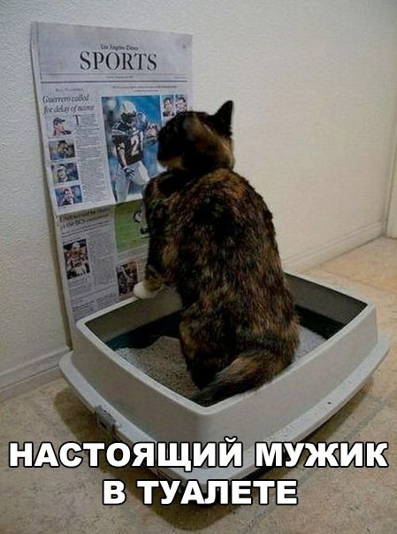 ЧРОШЬ нфг