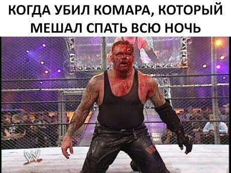 КОГДА УБИЛ КОМАРА КОТОРЫЙ МЕШАЛ СПАТЬ ВСЮ НОЧЬ