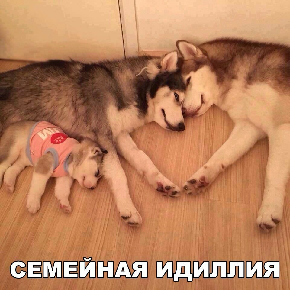 ХЁЁБХПЁЙШ