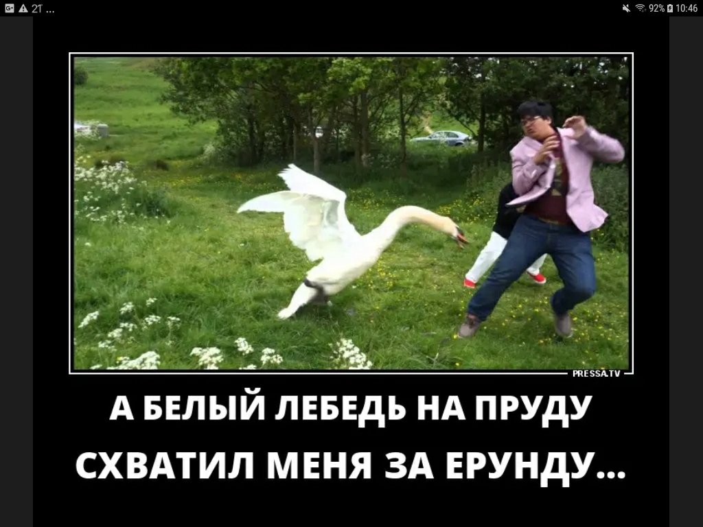 НАШ цгэжпшаь тЕвэАп А БЕЛЫЙ ЛЕБЕДЬ НА ПРУдУ СХВАТИЛ МЕНЯ ЗА ЕРУНДУ