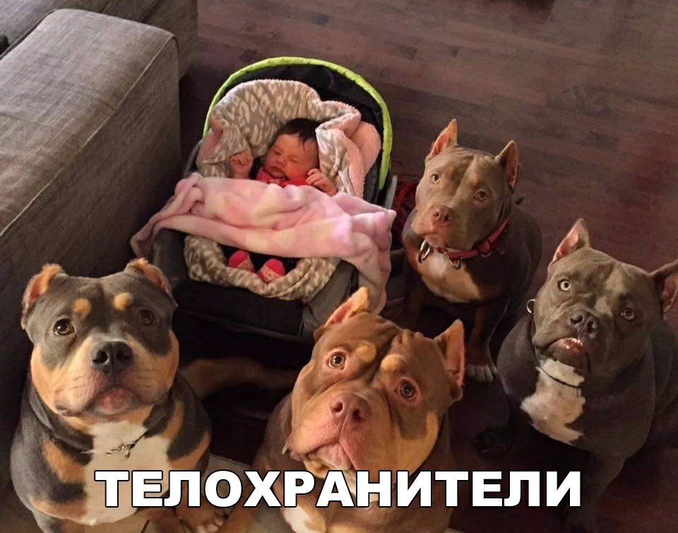ЕЛОЖЁАНИТЕПИ