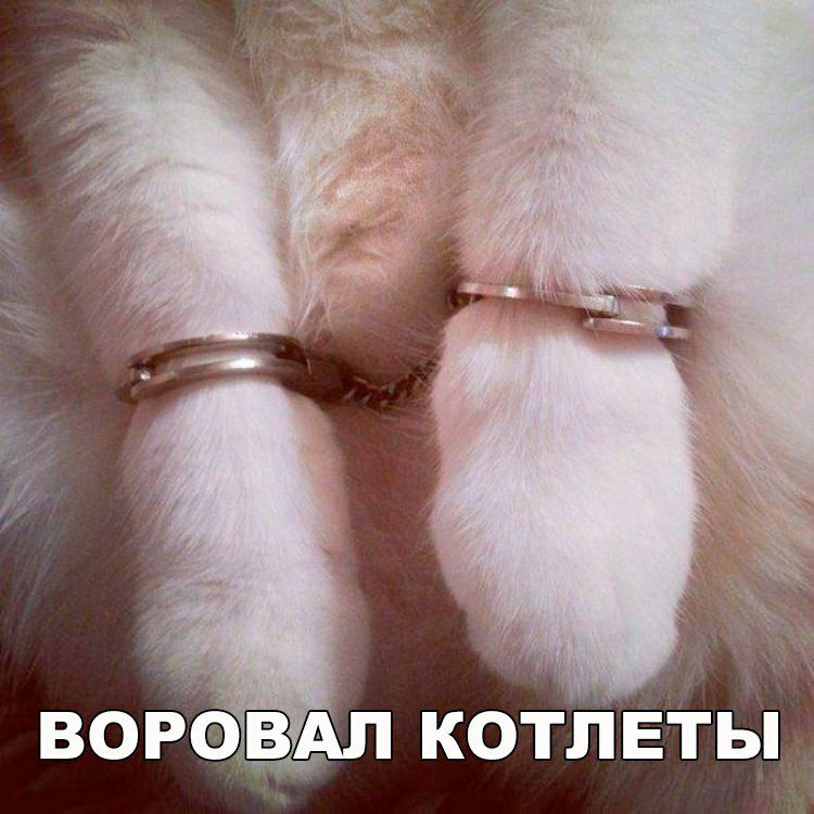 ворбгвфАл котлеты