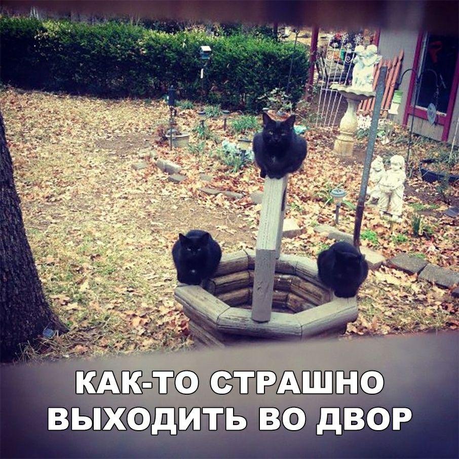 Щ