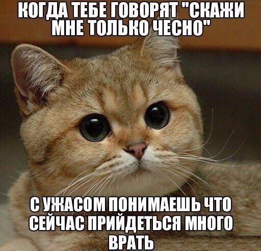 НШдд ТЕБЕ ШВПНП енджи МНЕ ПШЫЮ ЧЕШШ винам прнимпішь что свичи пгиидпьсп много _ вить
