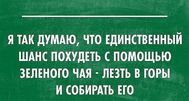 Я ТАК дУМАЮ ЧТО ЕДИНСТВЕННЫЙ ШАНС ПОХУДЕТЬ С ПОМОЩЬЮ ЗЕЛЕНОГО ЧАЯ ЛЕЗТЬ В ГОРЫ И СОБИРАТЬ ЕТО