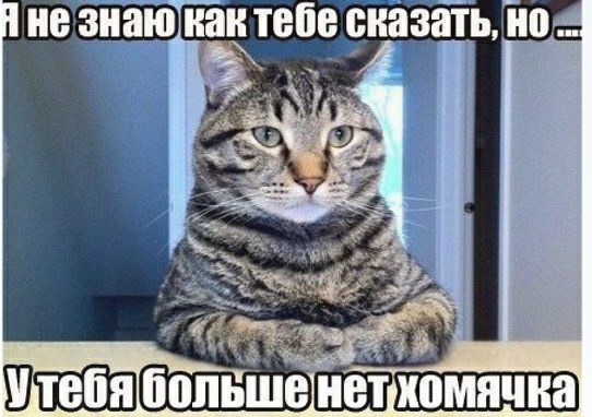 незнаю как тепчназатц но