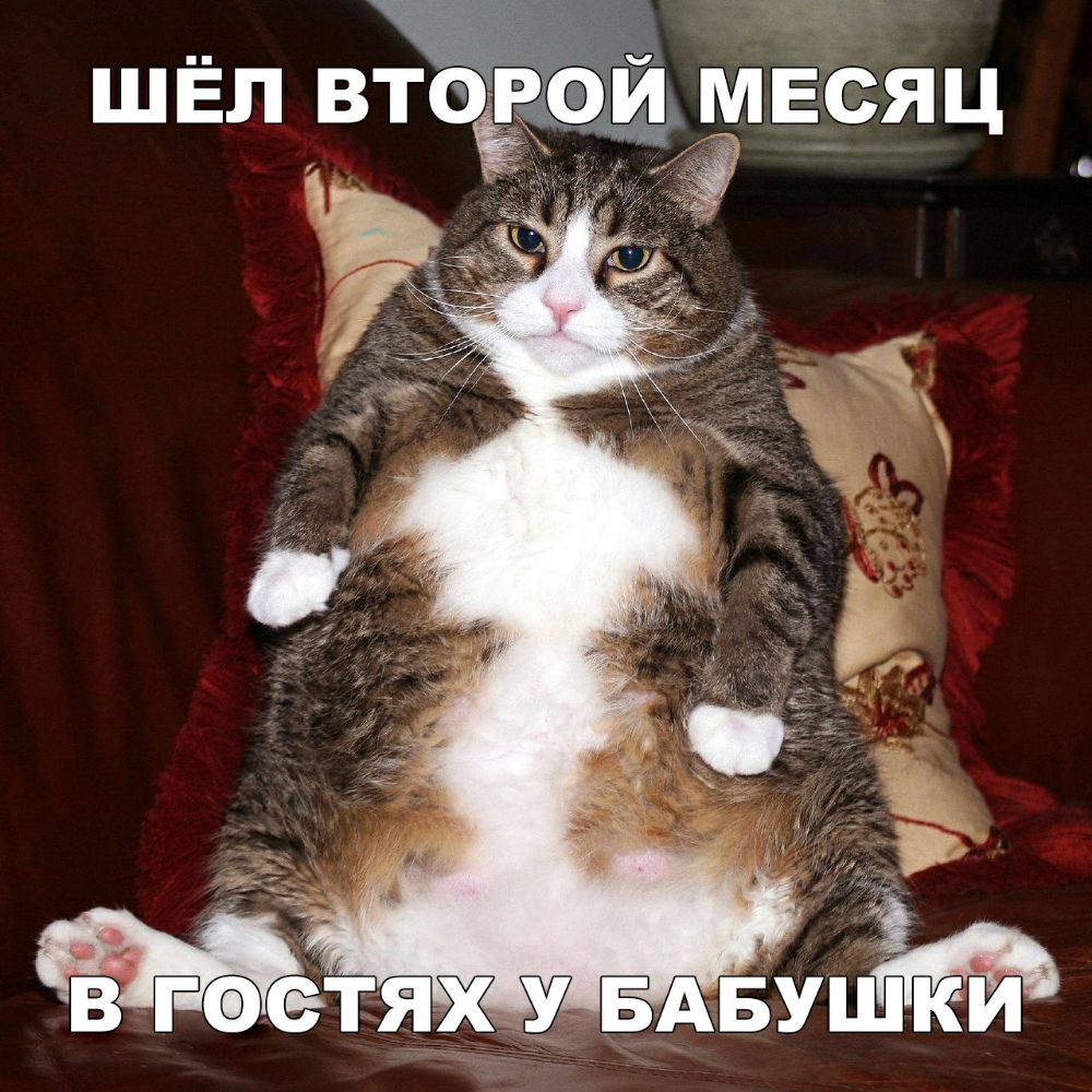 шЁл втазр и мЕсяц