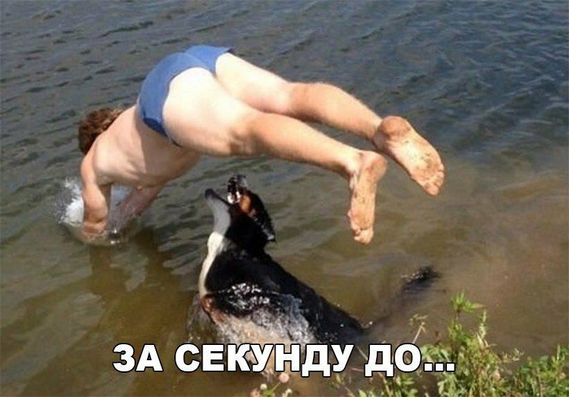 С до ЗА свкмідду