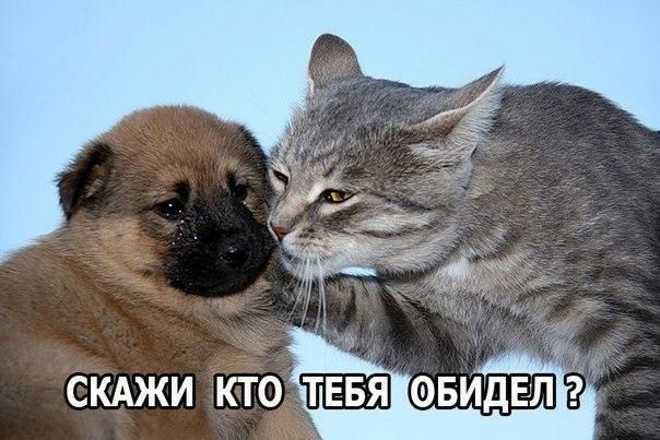 _ _ СКАЖИ КТО ТЕБЯ ФБИДЕЛ