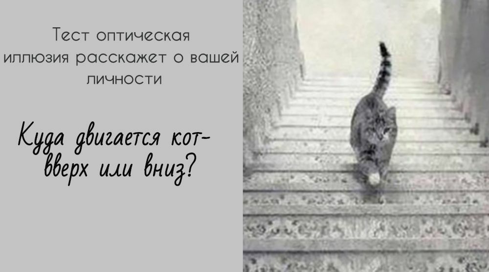 Тест оптическая иппюзия расскажет о вашей пичности К Бигается КОТ щи дни