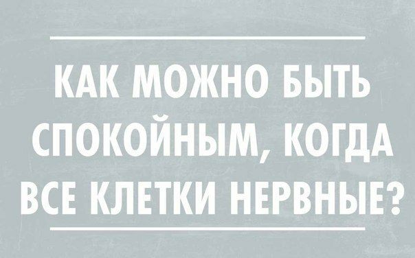 кдк можно выть спокойным когдА все клвтки ннрвнывг