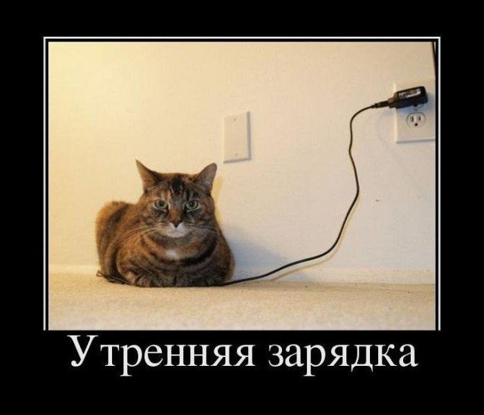 Утренняя зарядка