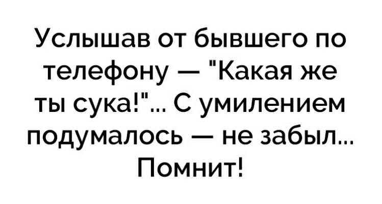Услышав от бывшего по телефону Какая же ты сука С умилением подумалось не забыл Помнит