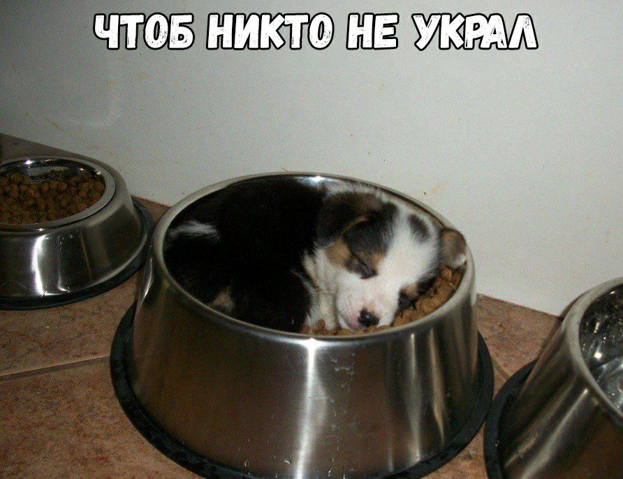 НИКТО ШЗ УКРАА