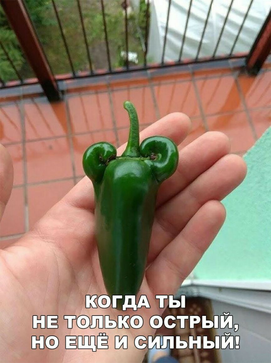 _ ЁЁПЩЁ Ш сщіЬНЫИ