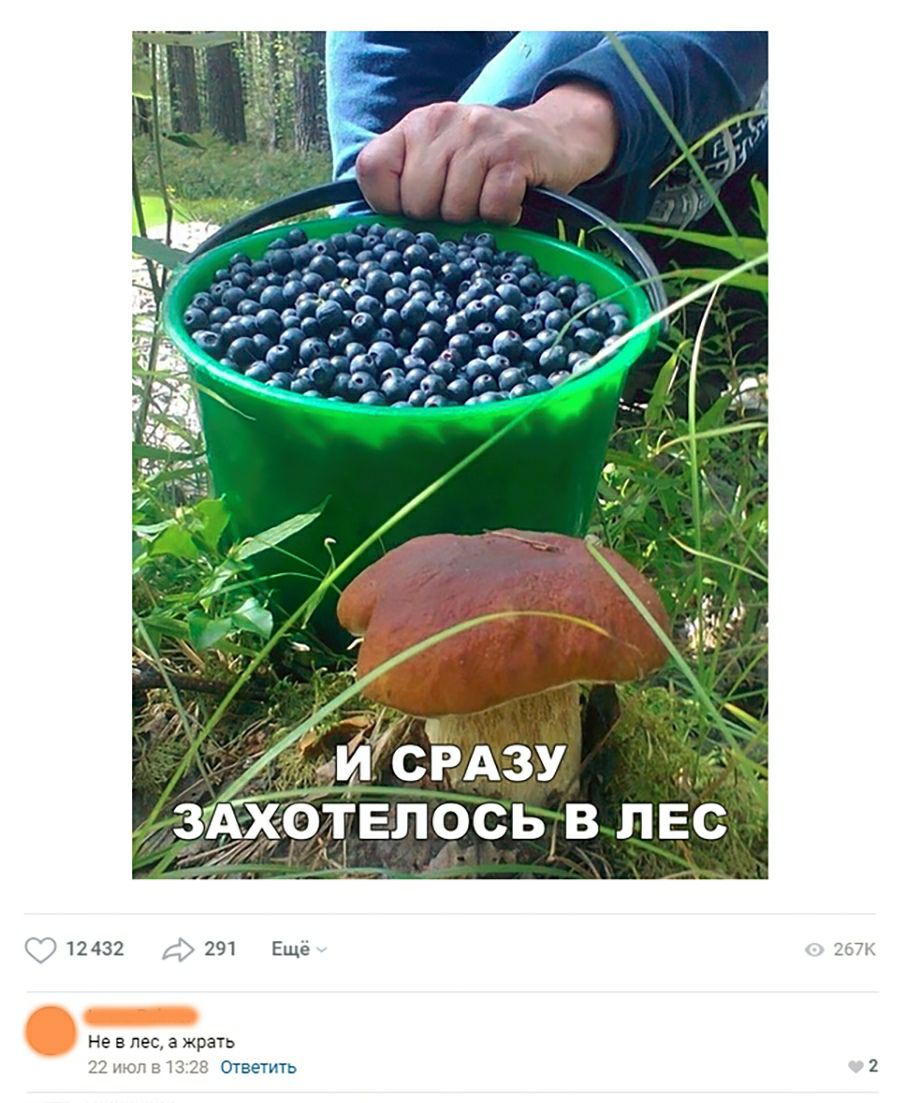 291 12432 На в лес а жрать Ответить