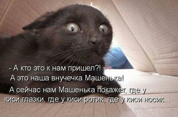 ротм дт КИСИ носи
