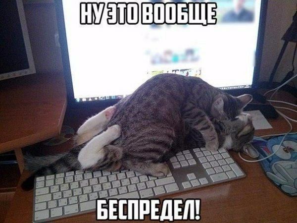 мы Т Ёігпітёіпл