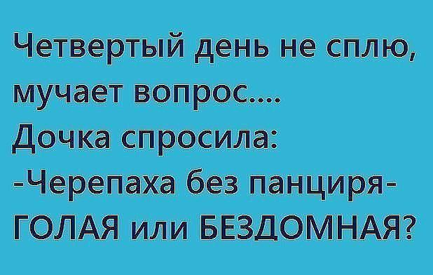 Четвертый день не сплю мучает вопрос дочка спросила Меренаха без панциря ГОЛАЯ или БЕЗДОМНАЯ