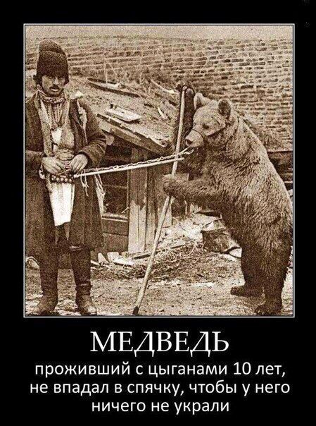 МЕДВЕДЬ проживший с цыганами 10 лет не впадал в спячку чтобы у него ничего не украли