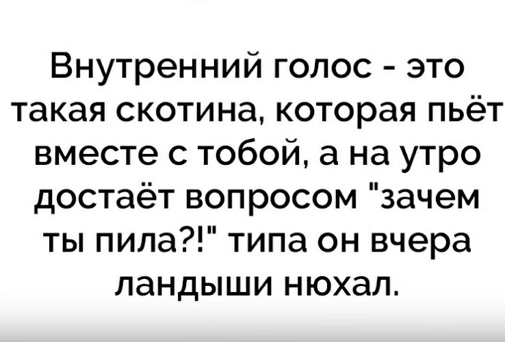 Внутренний голос это такая скотина которая пьёт вместе с тобой а на утро достаёт вопросом зачем ты пила типа он вчера ландыши нюхал