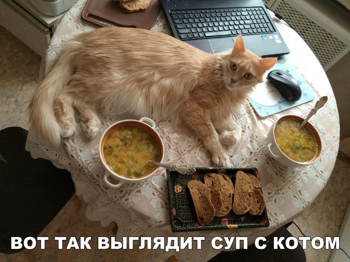 вот ТАК выглядИт суп с КЁЧЁОМЁ Ъ