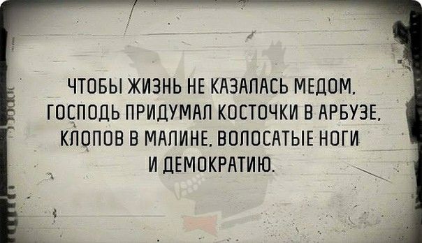 ЧТОБЫ ЖИЗНЬ НЕ КАЗАПАСЬ МЕДОМ ГОДПОДЬ ПРИДУМАП КОЕТПЧКИ В АРБУЗЕ КЛОППВ В МАПИНЕ ВППОЕАТЫЕ НОГИ И ДЕМПКРАТИЮ