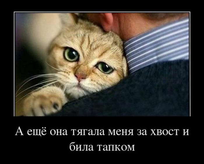 А ещё она тягала меня за хвост и била тапком