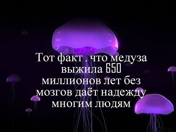 АДОЗГОВ Д МНОГ МЛЮДЯМ