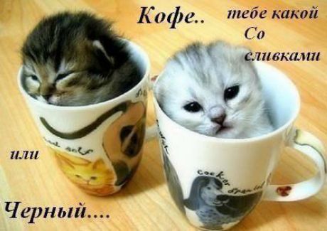 Кофд _ тибе какой 0 к слнвкшт Черный