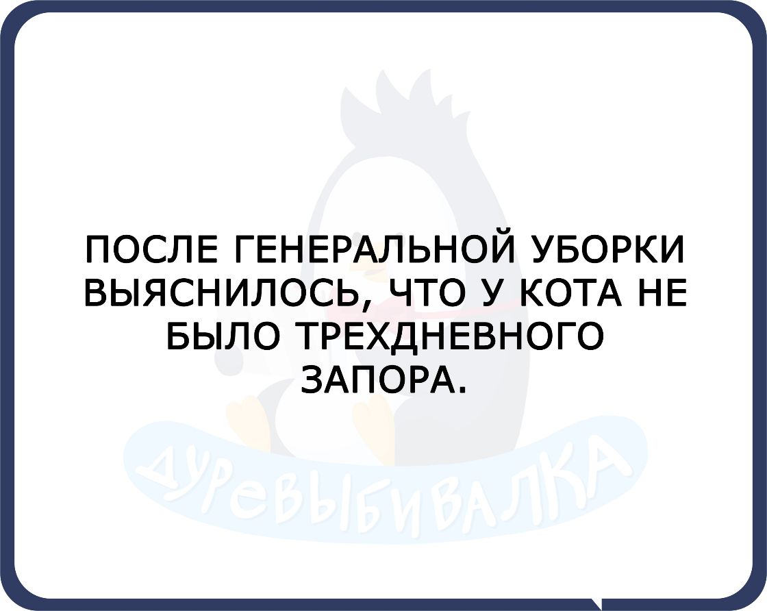 ПОСЛЕ ГЕНЕРАЛЬНОЙ УБОРКИ ВЫЯСНИЛОСЬ ЧТО У КОТА НЕ БЫЛО ТРЕХДНЕВНОГО ЗАПОРА