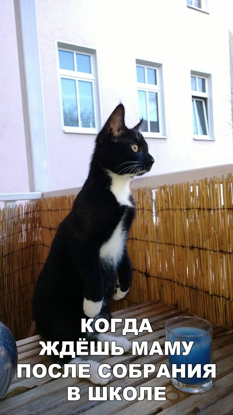 когдА _ ждЁшЬМАму послЧсоыэАния в школе
