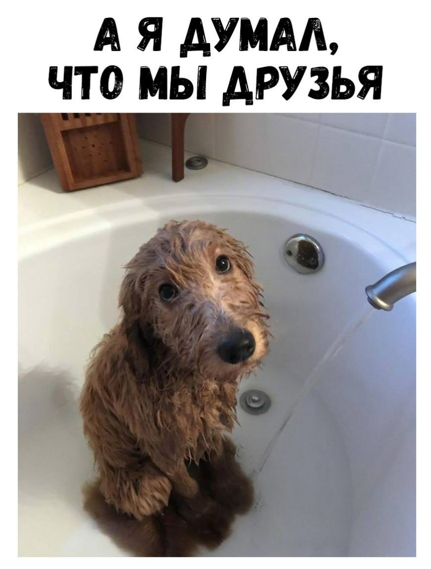 А Я АУММЪ ЧЮ МЫ АРУЗЬЯ