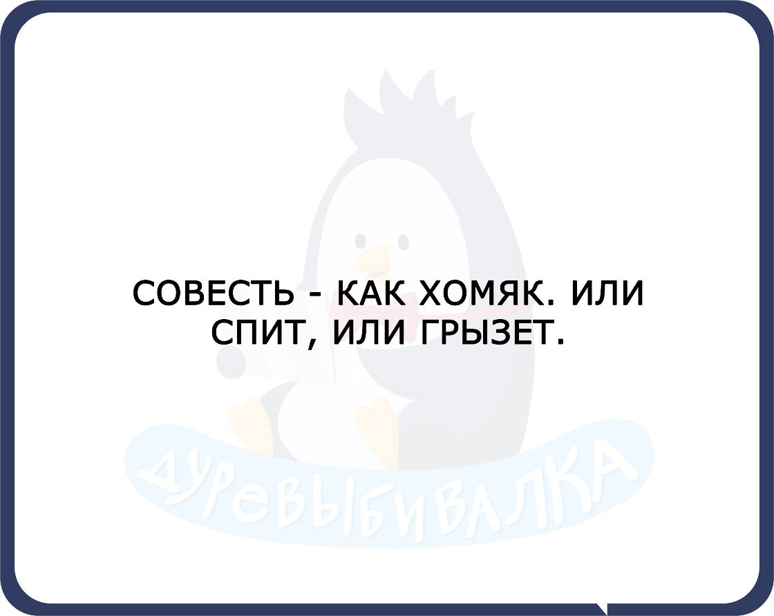 СОВЕСТЬ КАК ХОМЯК ИЛИ СП ИТ ИЛ И ГРЫЗЕТ