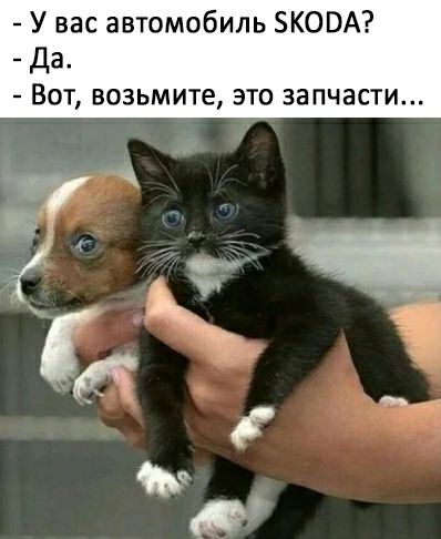 У вас автомобиль ЗКОВА Да ВОТ возьмите ЭТО ЗЗПЧЗСТИ