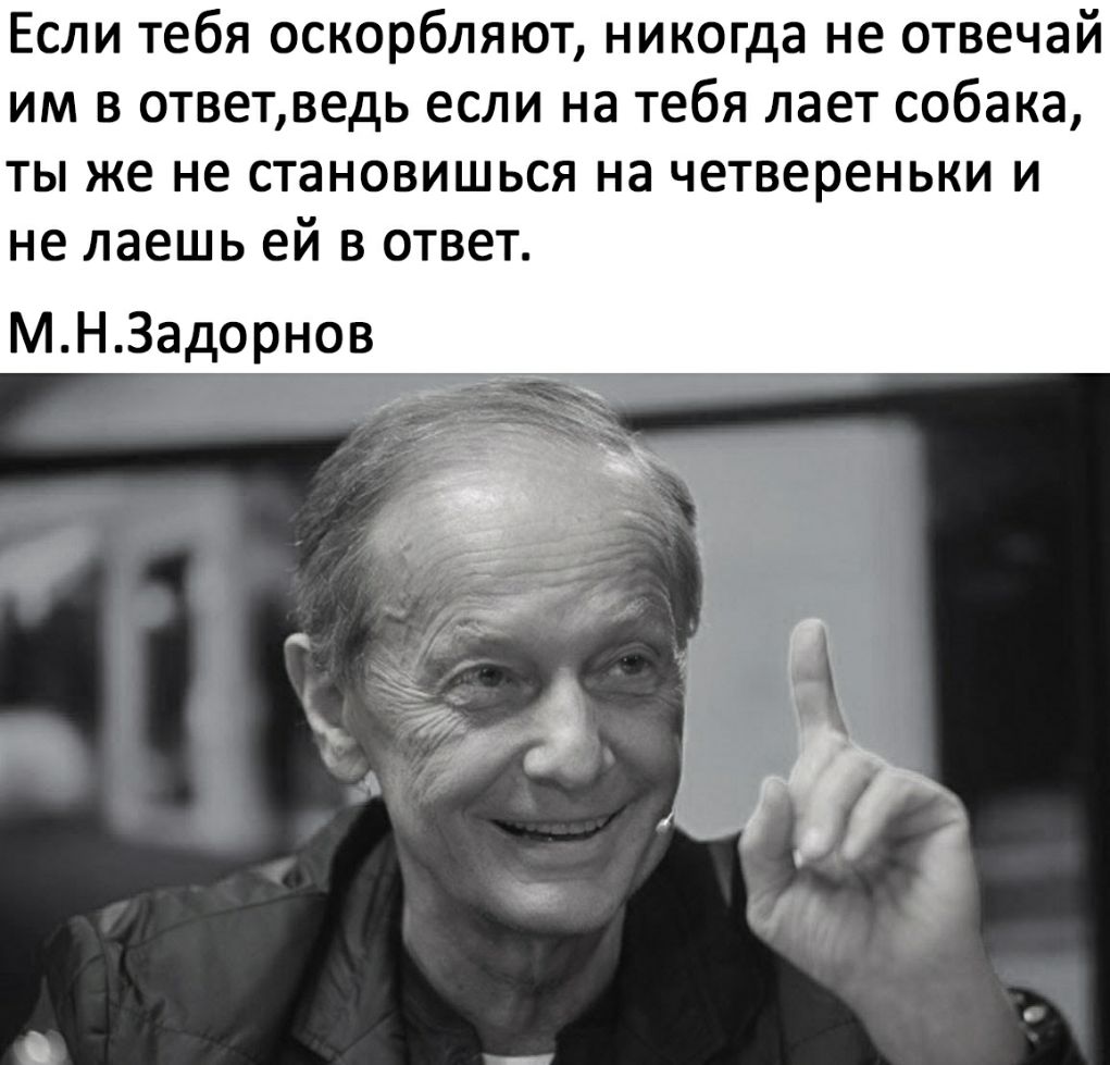 Если тебя оскорбляют никогда не отвечай им в ответведь если на тебя лает собака ты же не становишься на четвереньки и не даешь ей в ответ МНЗадорнов