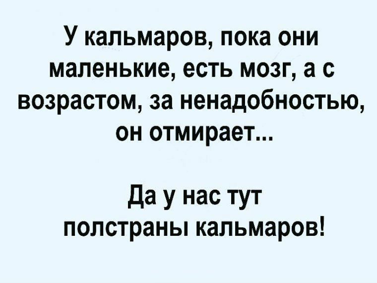 У кальмаров пока они маленькие есть мозг а с возрастом за ненадобностью он отмирает Да у нас тут полстраны кальмаров