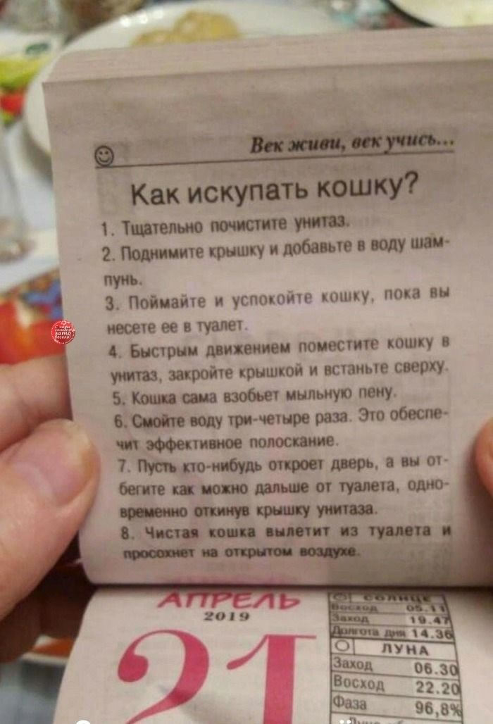 СЗ Как искупёгь Татьяна итти 2 тащите крышкуилобвпюпюлуши 1 Поймайте успошйт пиццу пака вы моею ее в туалет 4 Бис трип дикими повесит кошку шройче крышкой и встаиые сверху 5 ша побьет мыльную пену С щ три четыре раза Это обеспе и 1 полости 7 пт дверь а ш съ _ мян ат мина ощю 20 ч 91