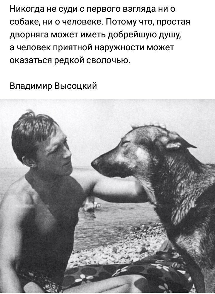 Никогда не суди с первого взгляда ни о собаке ни о человеке Потому что простая дворняга может иметь добрейшую душу а человек приятной наружности может оказаться редкой сволочью Владимир Высоцкий