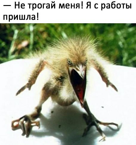 Не трогай меня Я с работы пришла