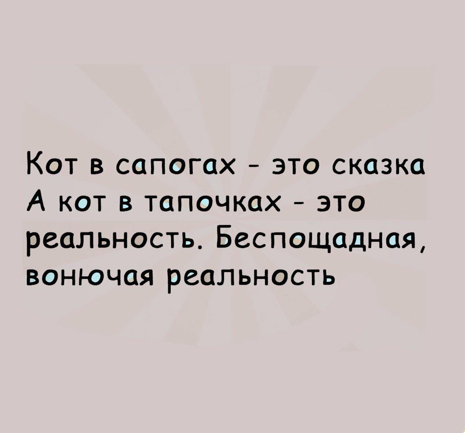 Кот в сапогах это сказка А кот в тапочках это реальность Беспощадная вонючая реальность