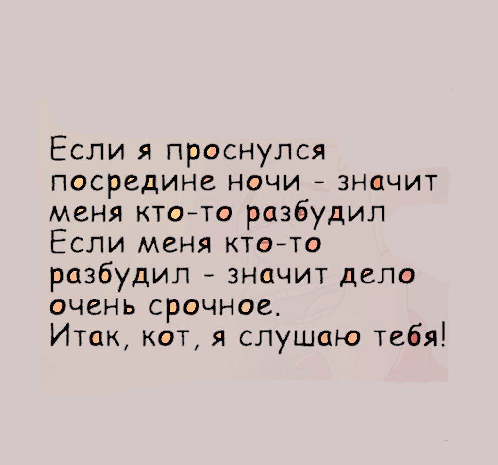 Если я проснулся посредине ночи значит меня ктото разбудил Если меня ктето разбудил значит дело очень срочное Итак кот я слушаю тебя