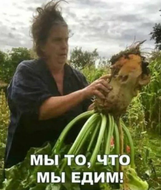 _ 7 _ мы точто Ё _дмывдит