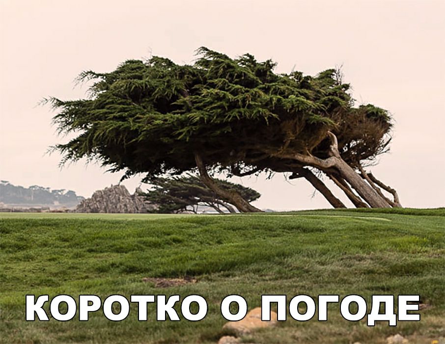 коротко логодв