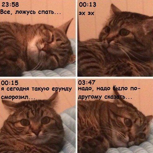 2358 Все лпжусь спать 0015 0347 я сегадия такую е унду надо нал