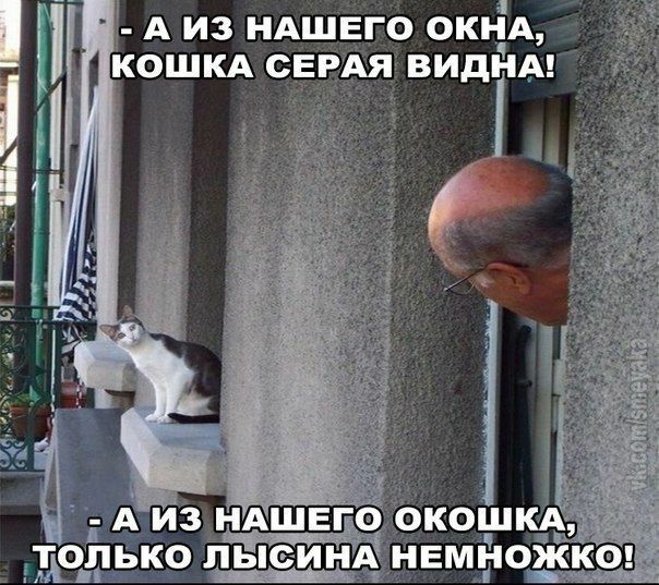 _ДОПЪКО Л