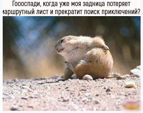 Гоооспади когда уже моя задница потеряет таршрутный лист и прекратит поиск приключений