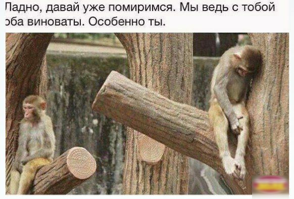 Падно давай уже помиримся Мы ведь с тобой аба виноваты Особенно ты